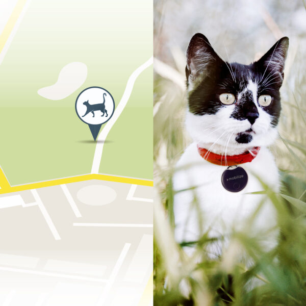 Mobilize Find My Smart Tag Black (3-Pack) - Afbeelding 6