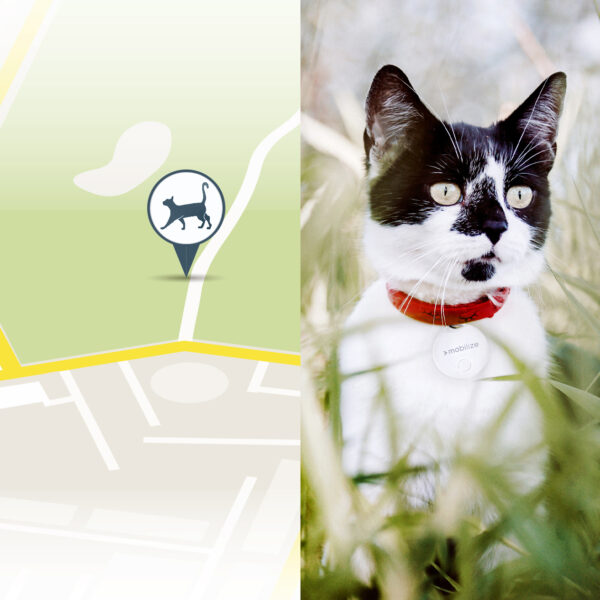 Mobilize Find My Smart Tag White (3-Pack) - Afbeelding 6