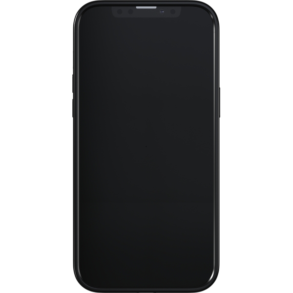 Richmond & Finch Freedom Series One-Piece Apple Iphone 13 Pro Max Emerald Zebra - Afbeelding 3