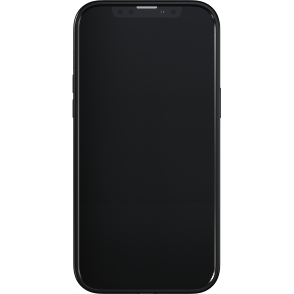 Richmond & Finch Freedom Series One-Piece Apple Iphone 13 Pro Max Zebra - Afbeelding 3