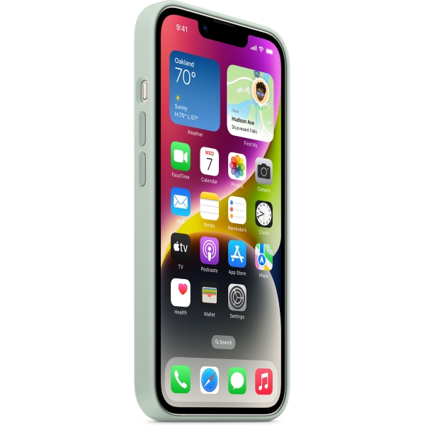 Apple Mptc3Zm/A Apple Silicone Case With Magsafe Iphone 14 Plus Succulent - Afbeelding 3